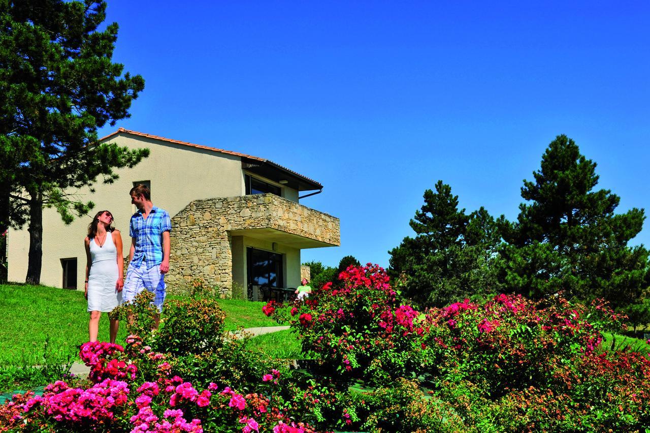 Vtf Le Domaine Du Peyrichoux Hotel Singleyrac Exterior photo